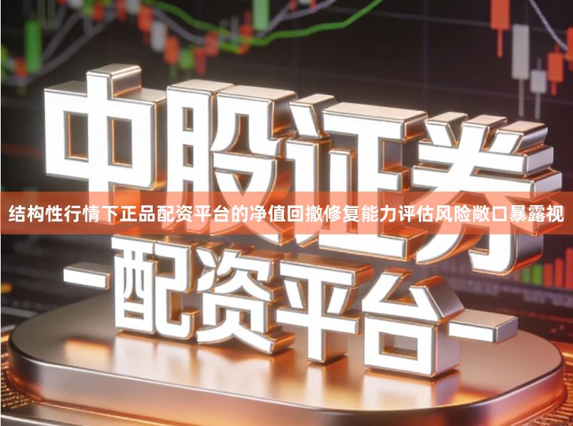 结构性行情下正品配资平台的净值回撤修复能力评估风险敞口暴露视