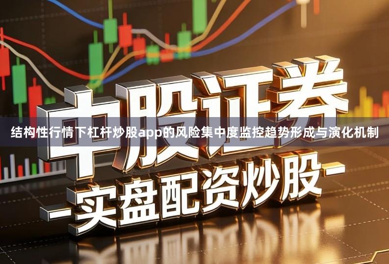 结构性行情下杠杆炒股app的风险集中度监控趋势形成与演化机制
