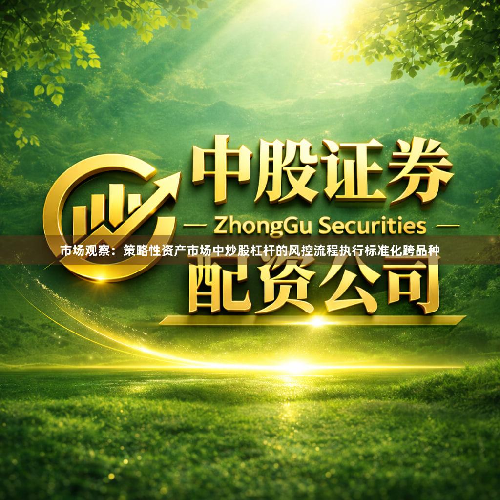 市场观察：策略性资产市场中炒股杠杆的风控流程执行标准化跨品种