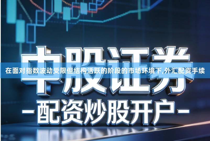 在面对指数波动受限但结构活跃的阶段的市场环境下,外汇配资手续