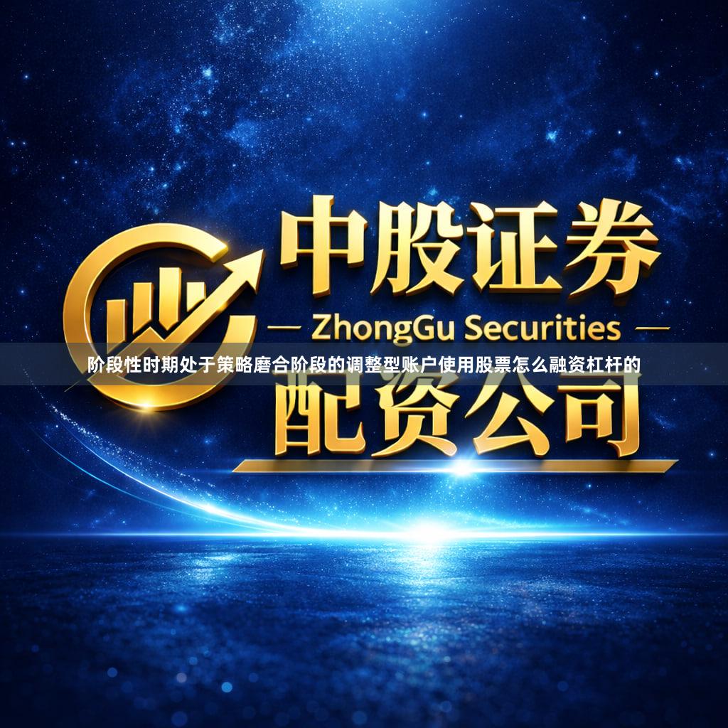 阶段性时期处于策略磨合阶段的调整型账户使用股票怎么融资杠杆的