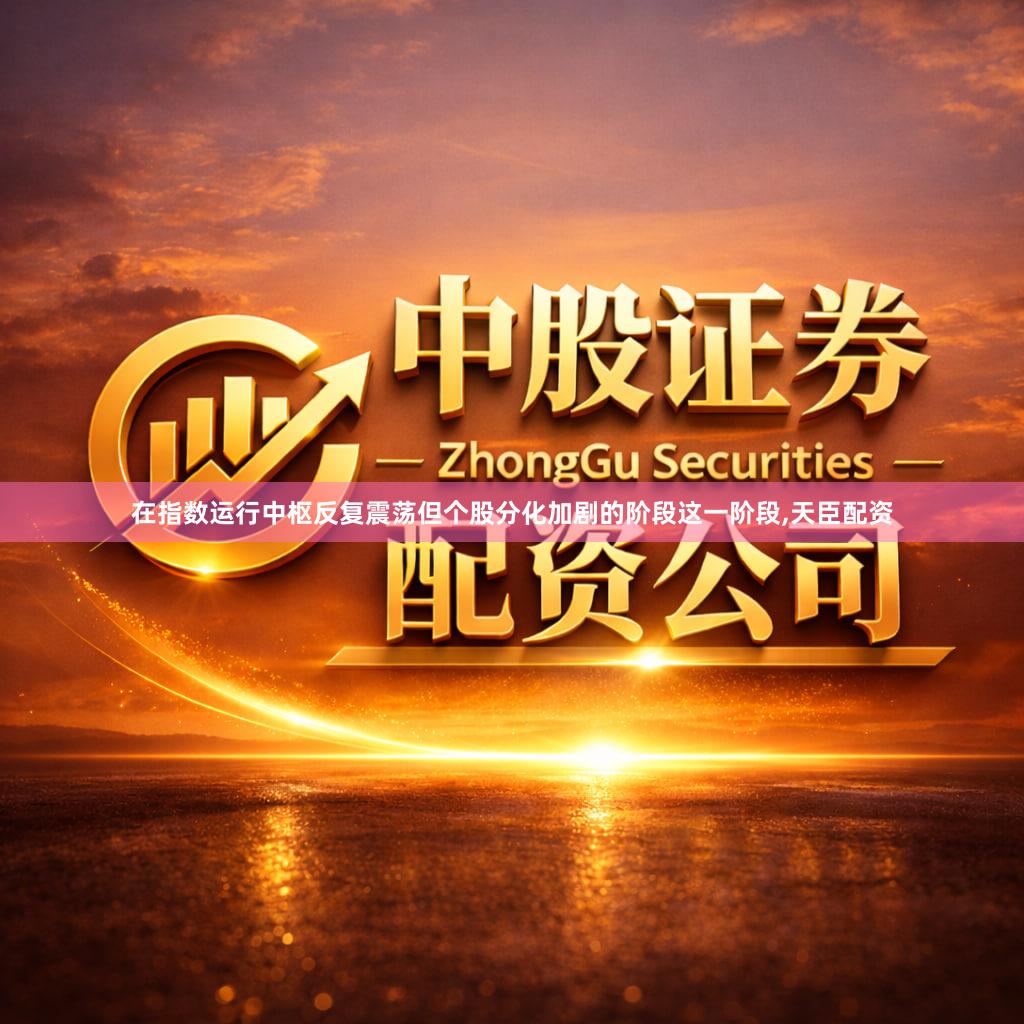在指数运行中枢反复震荡但个股分化加剧的阶段这一阶段,天臣配资