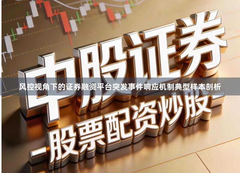 风控视角下的证券融资平台突发事件响应机制典型样本剖析